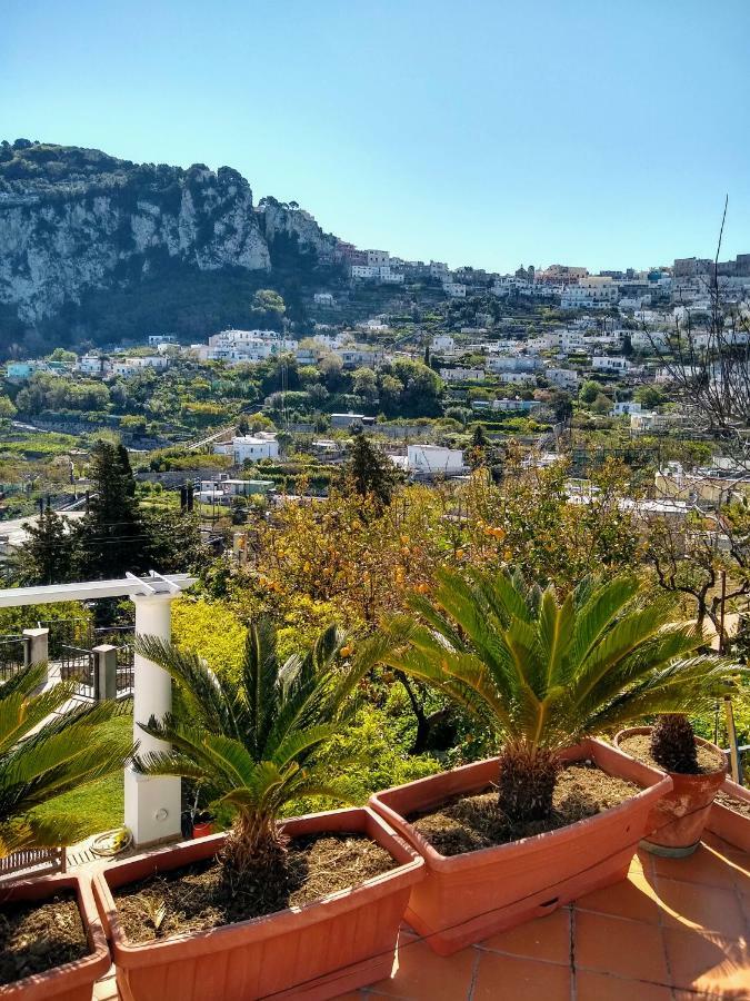 Casa Paolina - Casa Vacanze Capri Exteriér fotografie