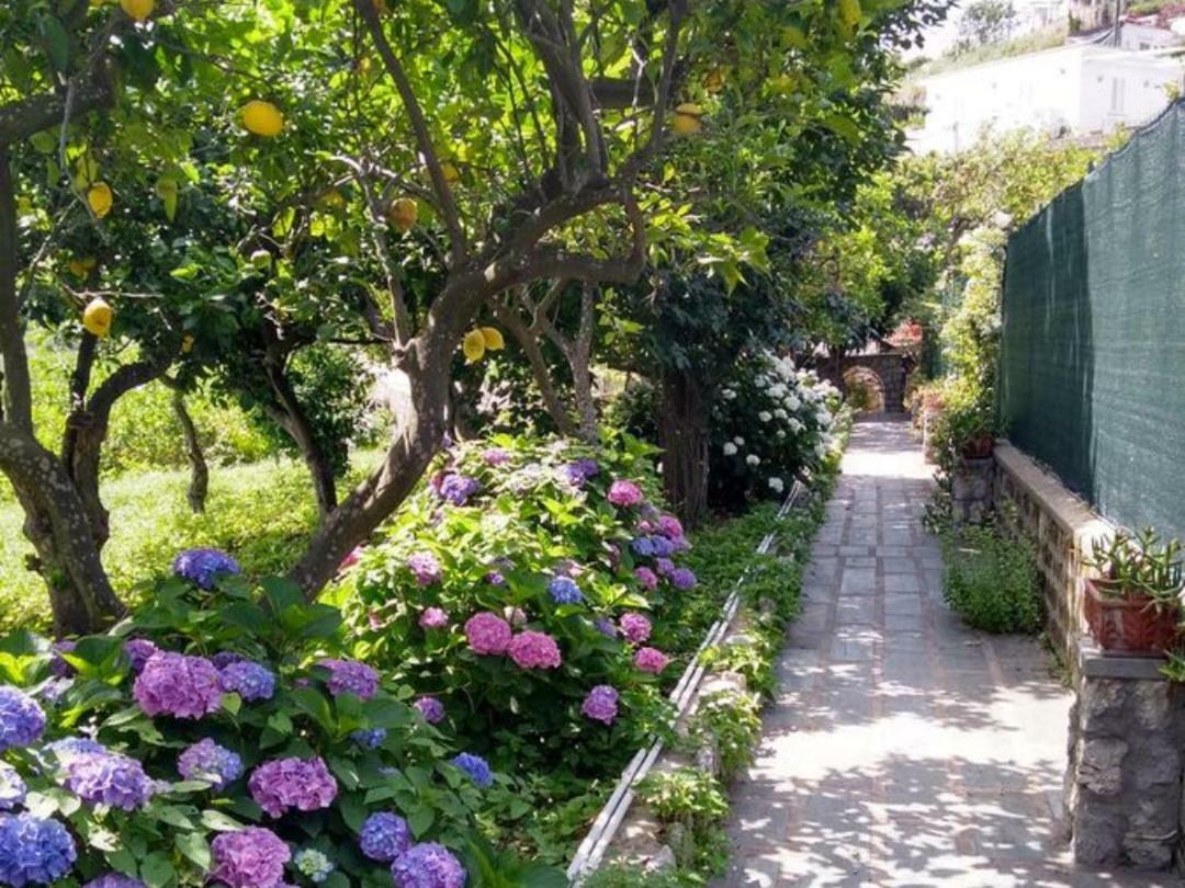 Casa Paolina - Casa Vacanze Capri Exteriér fotografie